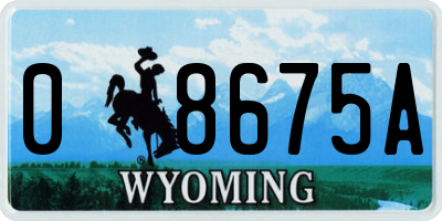 WY license plate 08675A