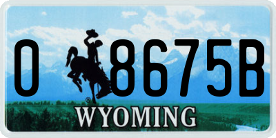 WY license plate 08675B