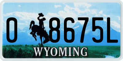 WY license plate 08675L