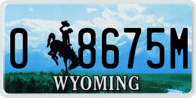 WY license plate 08675M