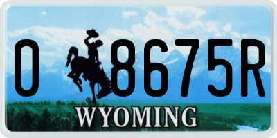 WY license plate 08675R
