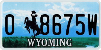 WY license plate 08675W