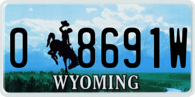 WY license plate 08691W