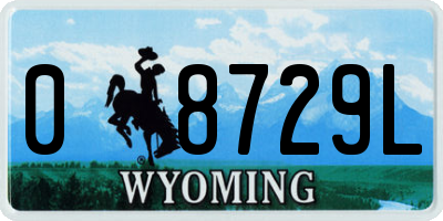 WY license plate 08729L