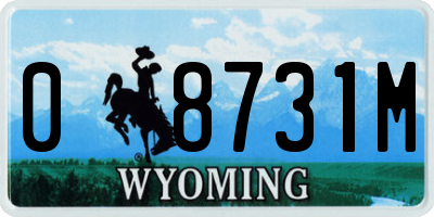WY license plate 08731M