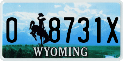 WY license plate 08731X