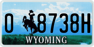 WY license plate 08738H