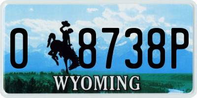 WY license plate 08738P