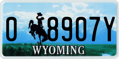 WY license plate 08907Y