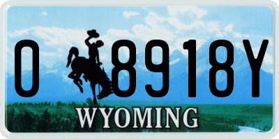 WY license plate 08918Y
