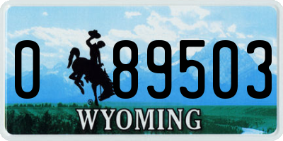 WY license plate 089503