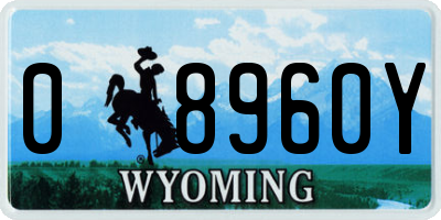 WY license plate 08960Y