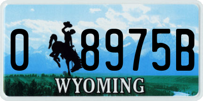 WY license plate 08975B