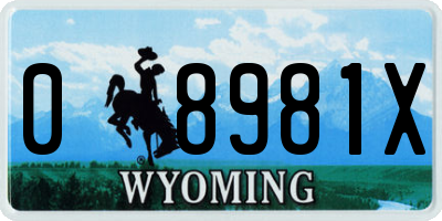 WY license plate 08981X