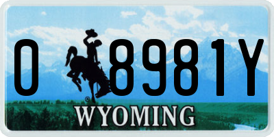 WY license plate 08981Y