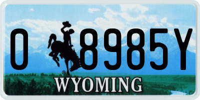 WY license plate 08985Y
