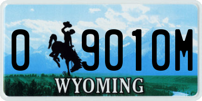 WY license plate 09010M