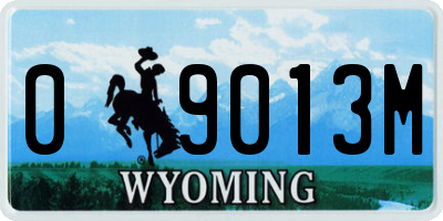 WY license plate 09013M