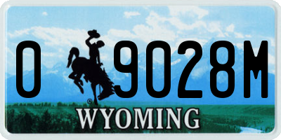 WY license plate 09028M