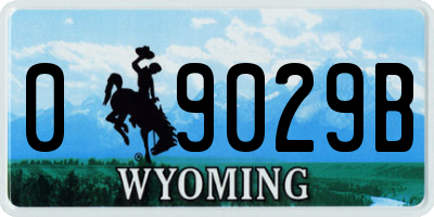 WY license plate 09029B