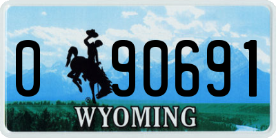 WY license plate 090691