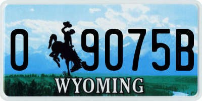 WY license plate 09075B