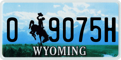 WY license plate 09075H