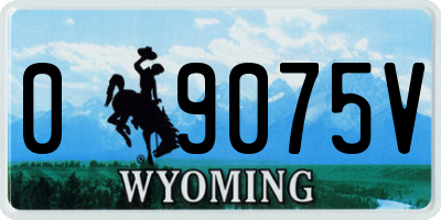 WY license plate 09075V