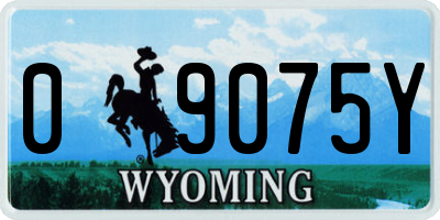WY license plate 09075Y