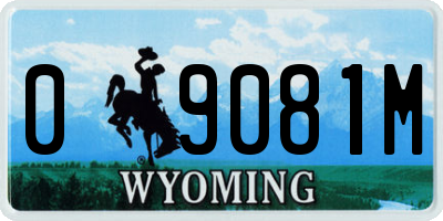 WY license plate 09081M