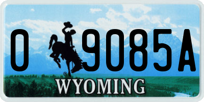 WY license plate 09085A