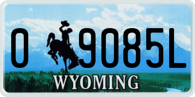 WY license plate 09085L
