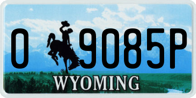 WY license plate 09085P