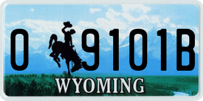 WY license plate 09101B