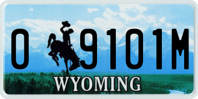 WY license plate 09101M