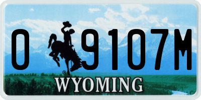WY license plate 09107M
