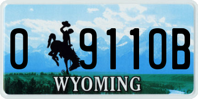 WY license plate 09110B