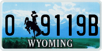 WY license plate 09119B