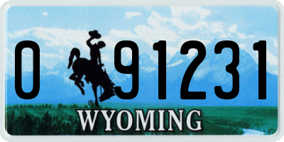 WY license plate 091231