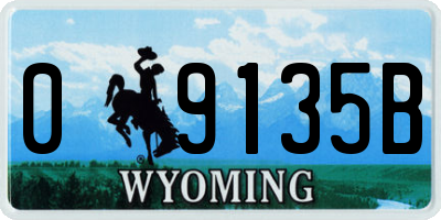 WY license plate 09135B
