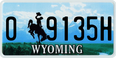 WY license plate 09135H