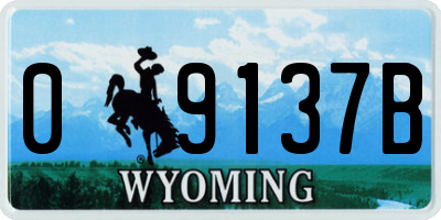 WY license plate 09137B