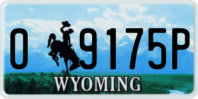 WY license plate 09175P
