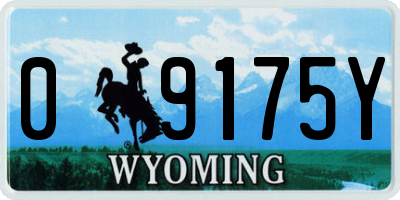 WY license plate 09175Y