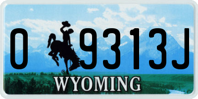 WY license plate 09313J