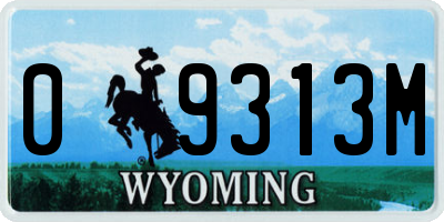 WY license plate 09313M