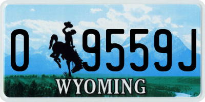 WY license plate 09559J