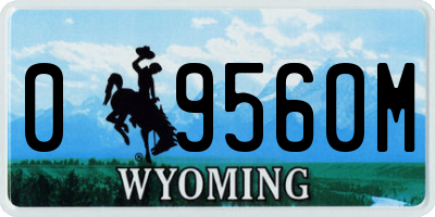 WY license plate 09560M