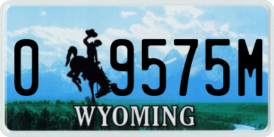 WY license plate 09575M