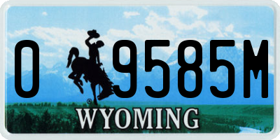 WY license plate 09585M